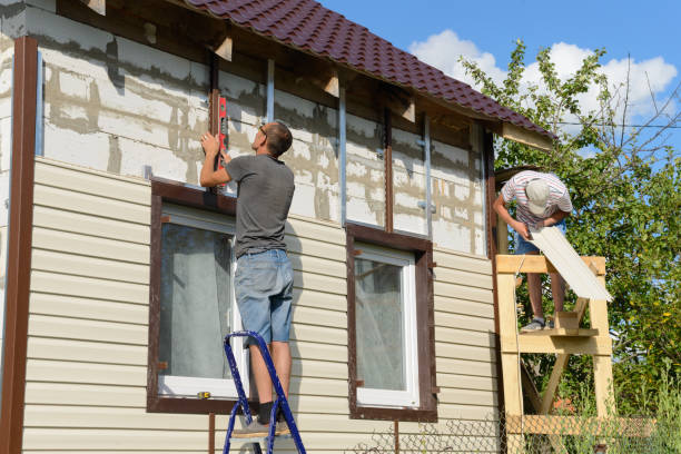 Best Stone Veneer Siding  in Tton, IL